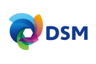 DSM Engineering Plastics